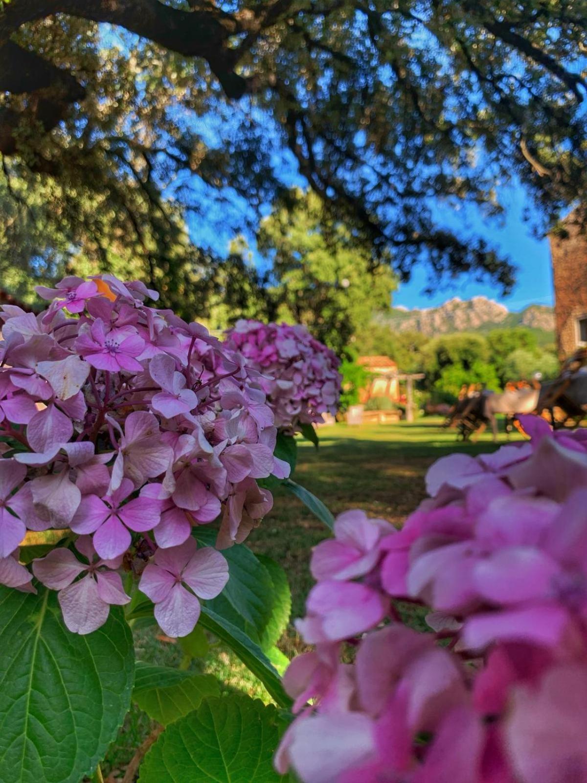 Agriturismo Casteddu Padru ภายนอก รูปภาพ