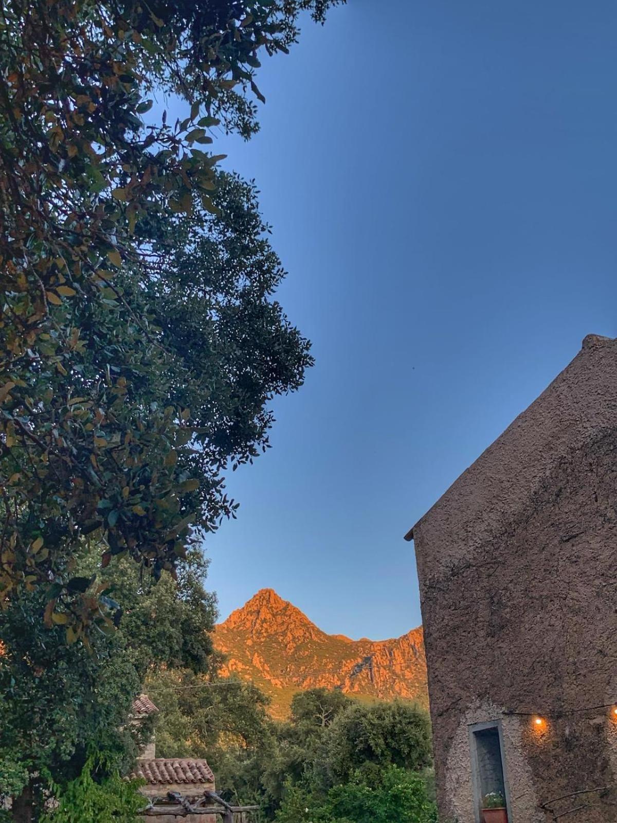 Agriturismo Casteddu Padru ภายนอก รูปภาพ