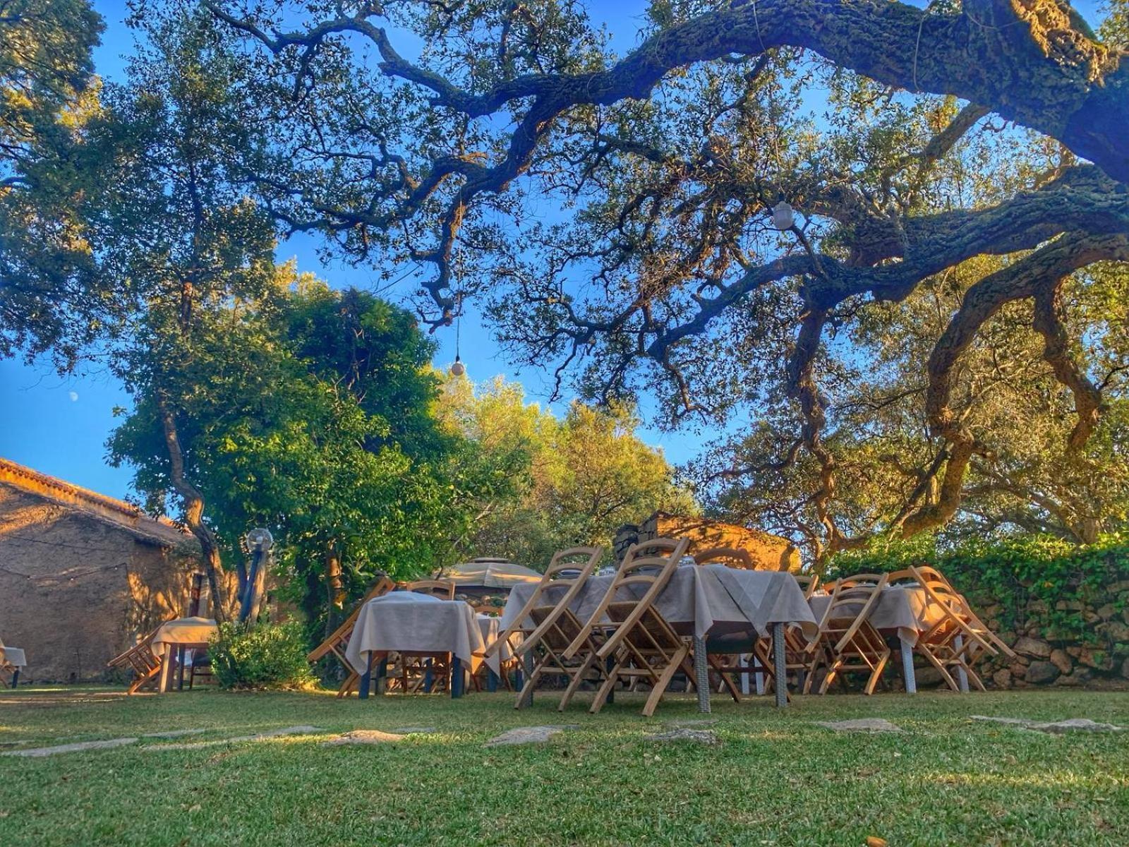 Agriturismo Casteddu Padru ภายนอก รูปภาพ