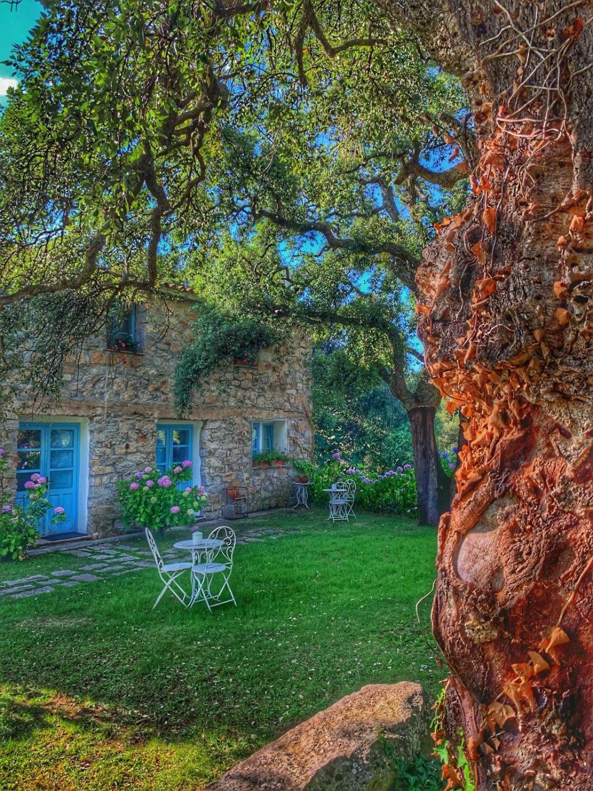 Agriturismo Casteddu Padru ภายนอก รูปภาพ